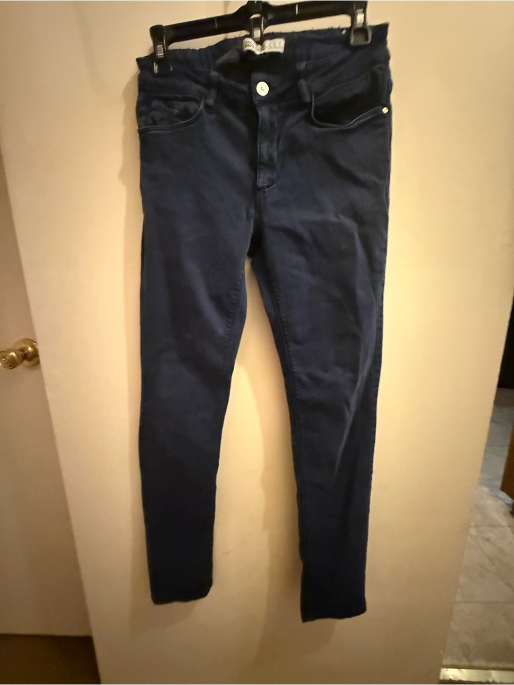 Zara Navy Skinny Pants